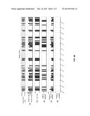 Portable Polysomnography Apparatus and System diagram and image