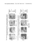 METHODS FOR DETECTING BIOLOGICAL RHYTHM DISORDERS diagram and image