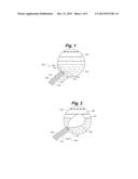 MICRO-NEEDLE BLADDER BALLOON diagram and image