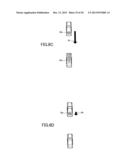 VEHICLE CONTROL DEVICE AND VEHICLE CONTROL METHOD diagram and image