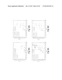 GAS DELIVERY SYSTEM TO PROVIDE INDUCED PARTIAL SATURATION THROUGH SOLUTE     TRANSPORT AND REACTIVITY FOR LIQUEFACTION MITIGATION diagram and image