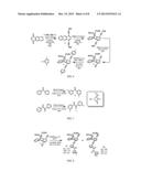 PHOTOALIGNMENT OF MATERIALS INCLUDING LIQUID CRYSTALS diagram and image