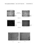PHOTOALIGNMENT OF MATERIALS INCLUDING LIQUID CRYSTALS diagram and image