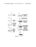 MULTILAYER BUILD PROCESSES AND DEVICES THEREOF diagram and image