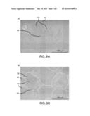 DISINTEGRABLE CENTRALIZER diagram and image