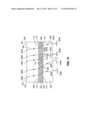 FORMATION OF A SHAPED FIBER WITH SIMULTANEOUS MATRIX APPLICATION diagram and image