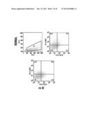 TUMOR SPECIFIC ANTIBODIES AND USES THEREFOR diagram and image