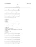 TUMOR SPECIFIC ANTIBODIES AND USES THEREFOR diagram and image