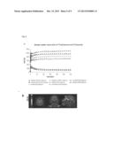 COMPOUNDS FOR USE IN IMAGING, DIAGNOSING AND/OR TREATMENT OF DISEASES OF     THE CENTRAL NERVOUS SYSTEM diagram and image