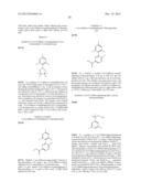 NOVEL RING-SUBSTITUTED N-PYRIDINYL AMIDES AS KINASE INHIBITORS diagram and image