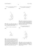 NOVEL RING-SUBSTITUTED N-PYRIDINYL AMIDES AS KINASE INHIBITORS diagram and image