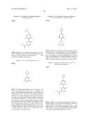 NOVEL RING-SUBSTITUTED N-PYRIDINYL AMIDES AS KINASE INHIBITORS diagram and image