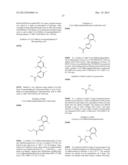 NOVEL RING-SUBSTITUTED N-PYRIDINYL AMIDES AS KINASE INHIBITORS diagram and image