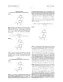 NOVEL RING-SUBSTITUTED N-PYRIDINYL AMIDES AS KINASE INHIBITORS diagram and image