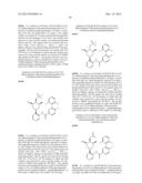 NOVEL RING-SUBSTITUTED N-PYRIDINYL AMIDES AS KINASE INHIBITORS diagram and image