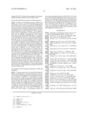 USE OF OLFACTOMEDIN-4 PROTEIN (OLFM4) IN COLORECTAL CANCER DIAGNOSIS diagram and image