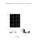 CHIMERIC FIBRONECTIN MATRIX MIMETICS AND USES THEREOF diagram and image