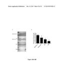 CHIMERIC FIBRONECTIN MATRIX MIMETICS AND USES THEREOF diagram and image