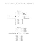 Drug Transporter Permeating Blood-Brain Barrier, Peptide and Use Thereof diagram and image