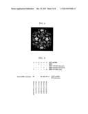 Drug Transporter Permeating Blood-Brain Barrier, Peptide and Use Thereof diagram and image