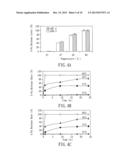 RADIOFREQUENCY-INDUCED SYNCHRONIZATION OF IN SITU HYPERTHERMIA AND     CHEMOTHERAPY VIA MAGNETIC-NANOCONJUGATES diagram and image