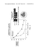 NANOMEDICINES FOR EARLY NERVE REPAIR diagram and image