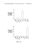 NANOMEDICINES FOR EARLY NERVE REPAIR diagram and image