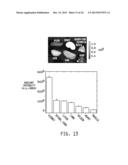 NANOMEDICINES FOR EARLY NERVE REPAIR diagram and image