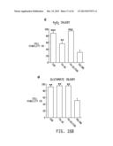 NANOMEDICINES FOR EARLY NERVE REPAIR diagram and image