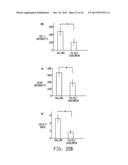 NANOMEDICINES FOR EARLY NERVE REPAIR diagram and image