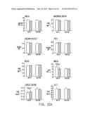 NANOMEDICINES FOR EARLY NERVE REPAIR diagram and image