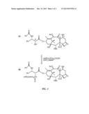 PARTICULATE CONSTRUCTS FOR RELEASE OF ACTIVE AGENTS diagram and image
