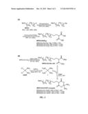 PARTICULATE CONSTRUCTS FOR RELEASE OF ACTIVE AGENTS diagram and image