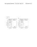 NON-FIBROGENESIS COLLAGEN MATERIAL AND A MANUFACTURING METHOD THEREOF diagram and image