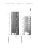 METHODS FOR DETECTING DNA PRIOGINATING FROM DIFFERENT INDIVIDUALS diagram and image