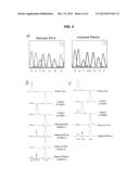 METHODS FOR DETECTING DNA PRIOGINATING FROM DIFFERENT INDIVIDUALS diagram and image