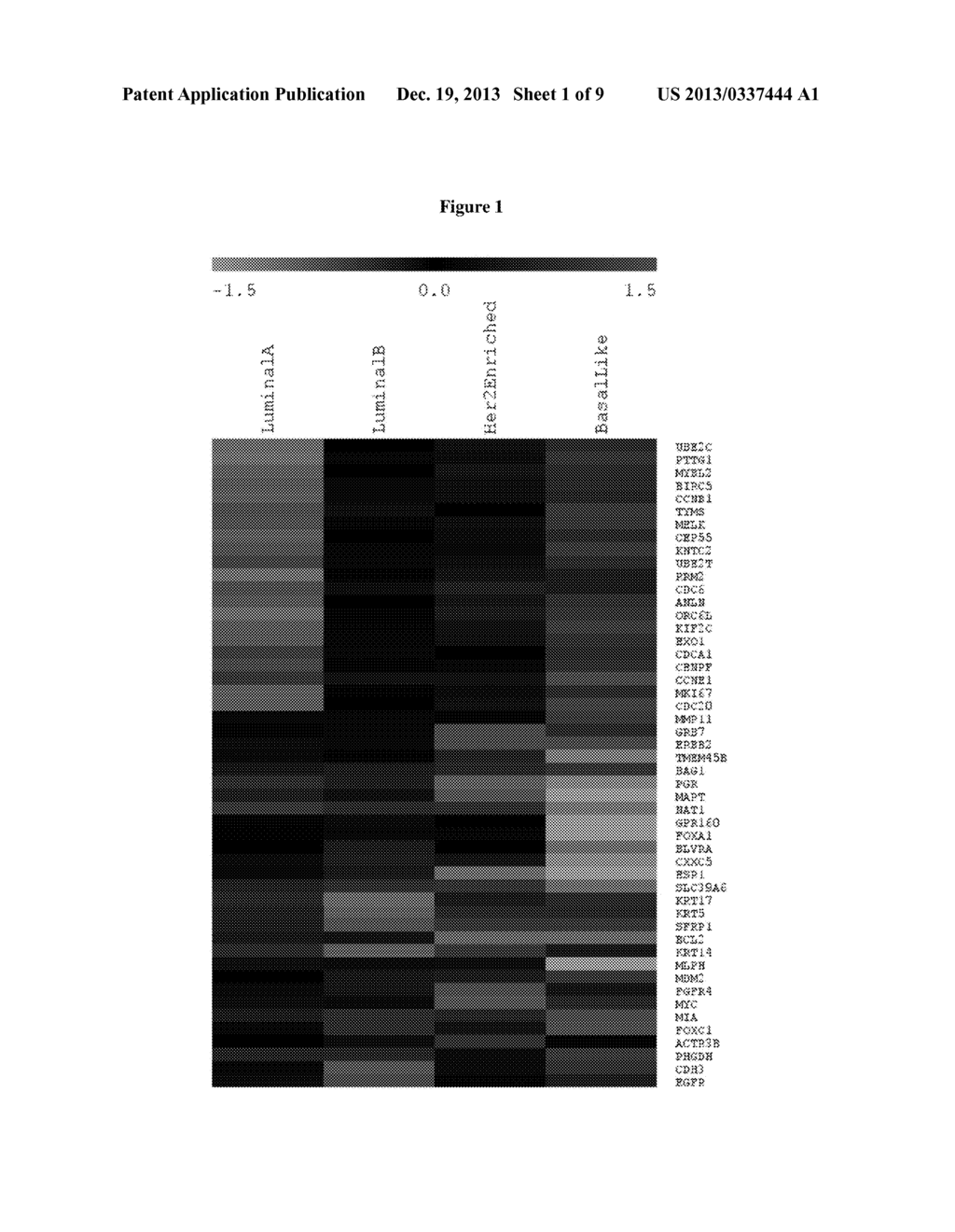 NANO46 Genes and Methods to Predict Breast Cancer Outcome - diagram, schematic, and image 02