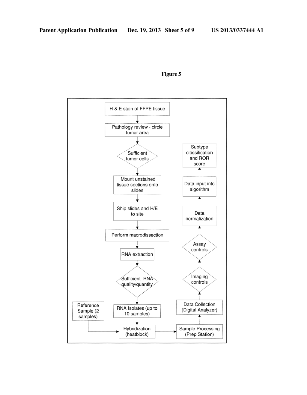 NANO46 Genes and Methods to Predict Breast Cancer Outcome - diagram, schematic, and image 06