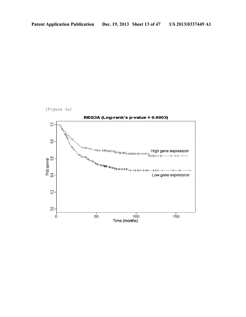 MARKER FOR PREDICTING GASTRIC CANCER PROGNOSIS AND METHOD FOR PREDICTING     GASTRIC CANCER PROGNOSIS USING THE SAME - diagram, schematic, and image 14