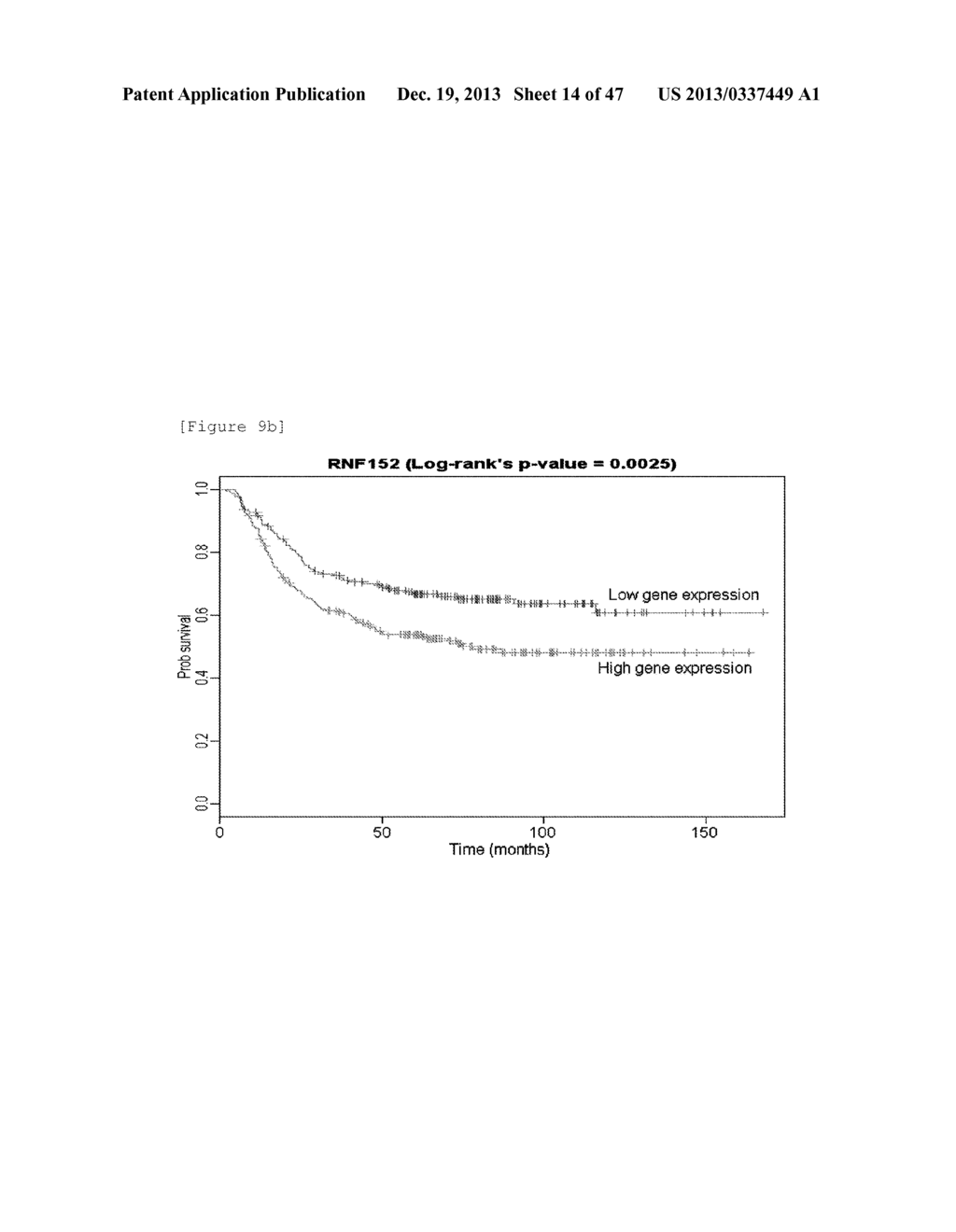 MARKER FOR PREDICTING GASTRIC CANCER PROGNOSIS AND METHOD FOR PREDICTING     GASTRIC CANCER PROGNOSIS USING THE SAME - diagram, schematic, and image 15