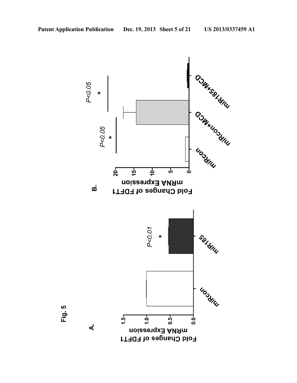 A METHOD OF ENHANCING MIR-185 EXPRESSION TO REDUCE LOW DENSITY     LIPOPROTEIN/CHOLESTEROL ACCUMULATION IN A CELL - diagram, schematic, and image 06