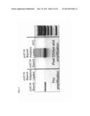 Methods and Compositions for Segregating Target Nucleic Acid from Mixed     Nucleic Acid Samples diagram and image