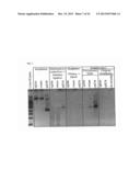 Methods and Compositions for Segregating Target Nucleic Acid from Mixed     Nucleic Acid Samples diagram and image