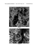 NOVEL BIOCATALYST COMPOSITIONS AND PROCESSES FOR USE diagram and image