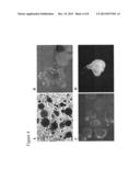 Differentiation and Enrichment of Islet-Like Cells from Human Pluripotent     Stem Cells diagram and image