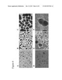 Differentiation and Enrichment of Islet-Like Cells from Human Pluripotent     Stem Cells diagram and image