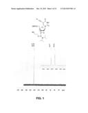 NUCLEOBASE-FUNCTIONALIZED CONFORMATIONALLY RESTRICTED NUCLEOTIDES AND     OLIGONUCLEOTIDES FOR TARGETING NUCLEIC ACIDS diagram and image