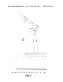 NUCLEOBASE-FUNCTIONALIZED CONFORMATIONALLY RESTRICTED NUCLEOTIDES AND     OLIGONUCLEOTIDES FOR TARGETING NUCLEIC ACIDS diagram and image