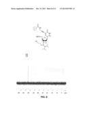 NUCLEOBASE-FUNCTIONALIZED CONFORMATIONALLY RESTRICTED NUCLEOTIDES AND     OLIGONUCLEOTIDES FOR TARGETING NUCLEIC ACIDS diagram and image