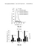 NUCLEOBASE-FUNCTIONALIZED CONFORMATIONALLY RESTRICTED NUCLEOTIDES AND     OLIGONUCLEOTIDES FOR TARGETING NUCLEIC ACIDS diagram and image